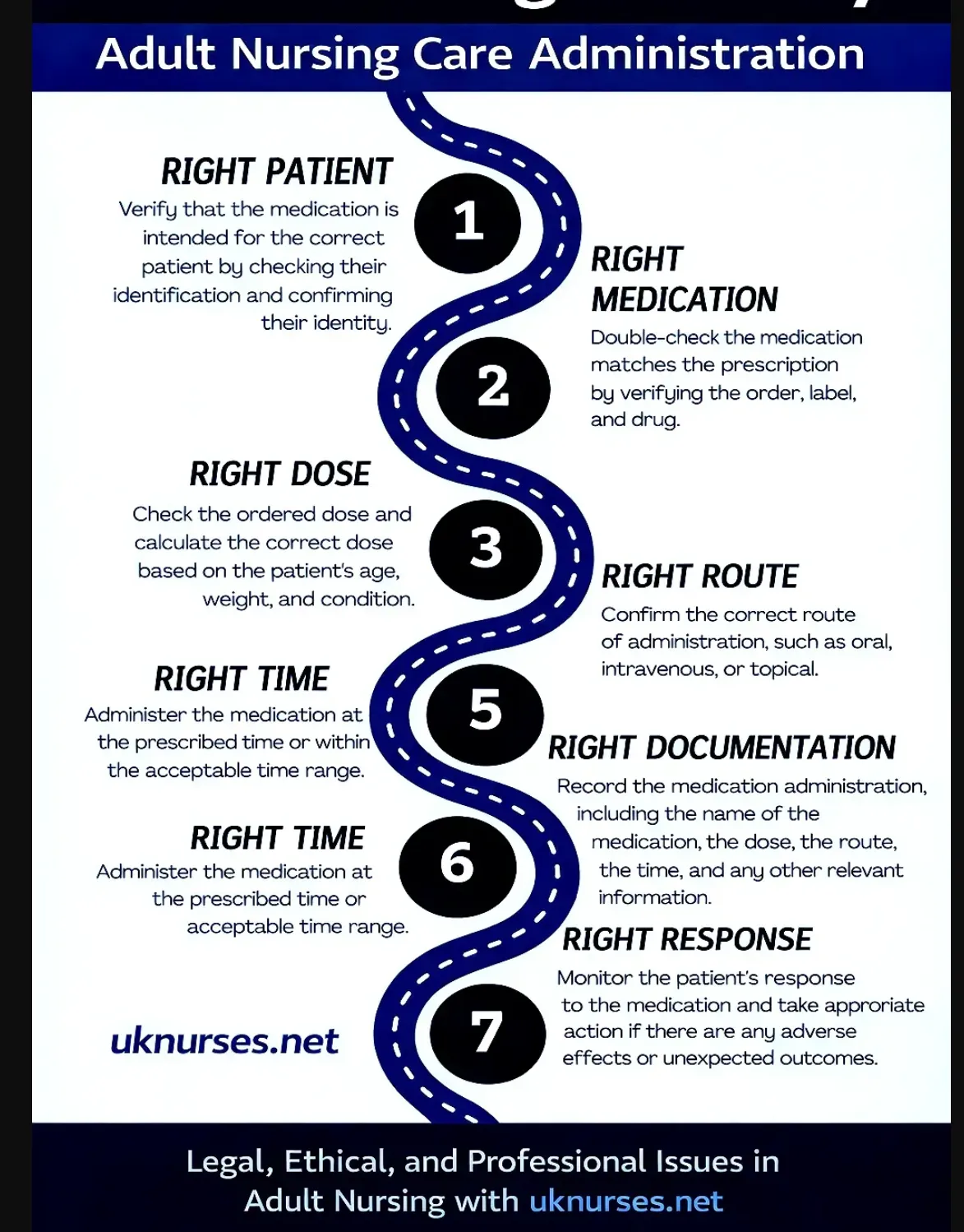 Legal, Ethical, and Professional Issues in Adult Nursing